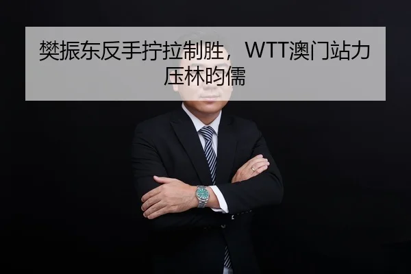 樊振东反手拧拉制胜，WTT澳门站力压林昀儒