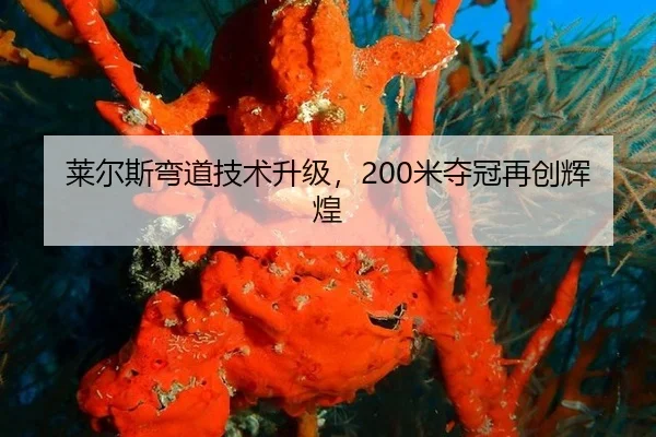 莱尔斯弯道技术升级，200米夺冠再创辉煌
