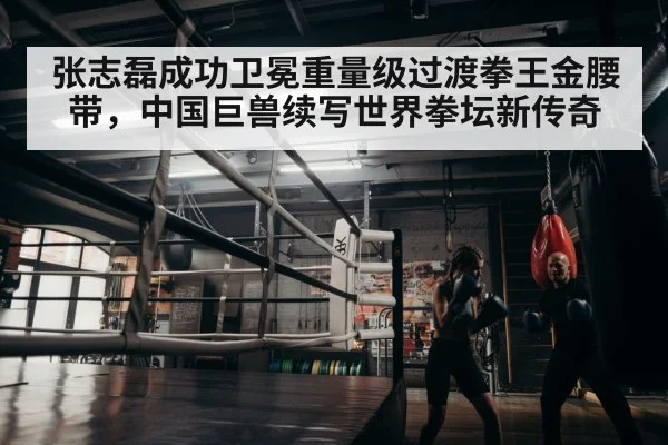 boxer training