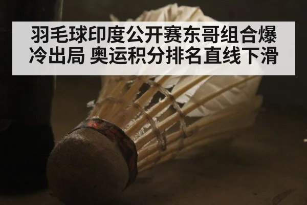 羽毛球印度公开赛东哥组合爆冷出局 奥运积分排名直线下滑